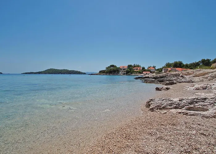 20 * Prižba